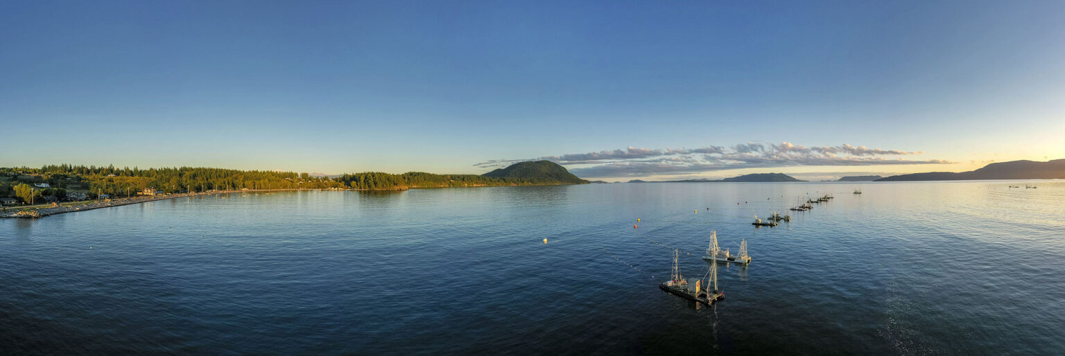 Sustainable Fishing Ocean Brands